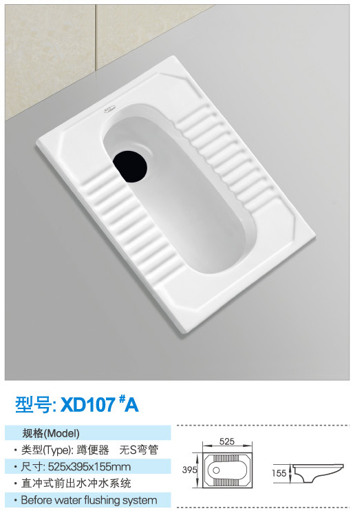 蹲便器