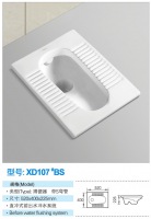 蹲便器